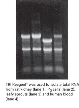TRI Reagent 