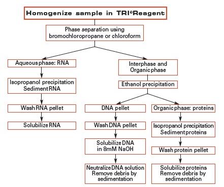 TRI Reagent 